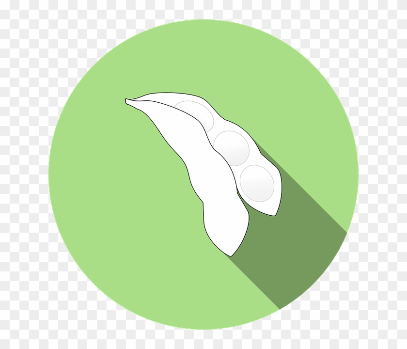 Soy, Bean, Soybean, Icon, Soya, Allergens, Agriculture - Soybean Graphic Clipart #5303182