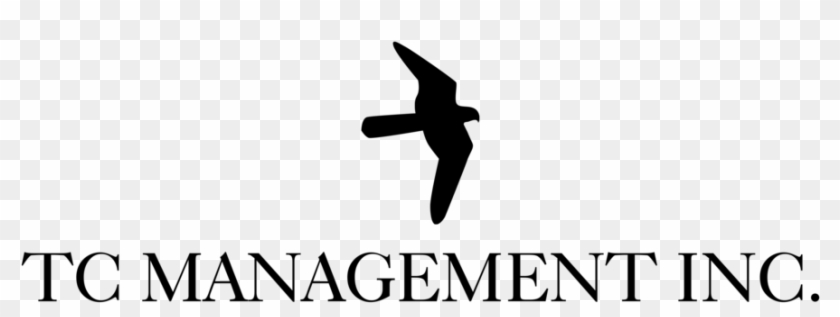 Dirt Flying Png Clipart