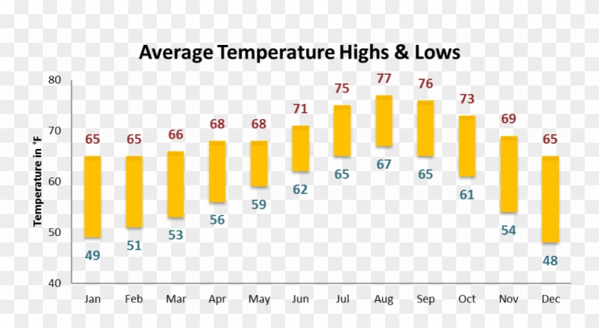 As Scored By The Weather Channel - Lichen Cell Structure Clipart