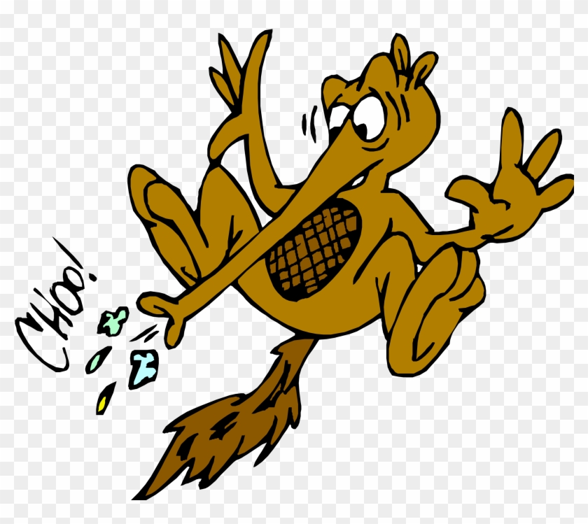 Sneezes Are Full Blown, Face Contorting, Body Wrenching, - Infection Common Cold Diagram Clipart