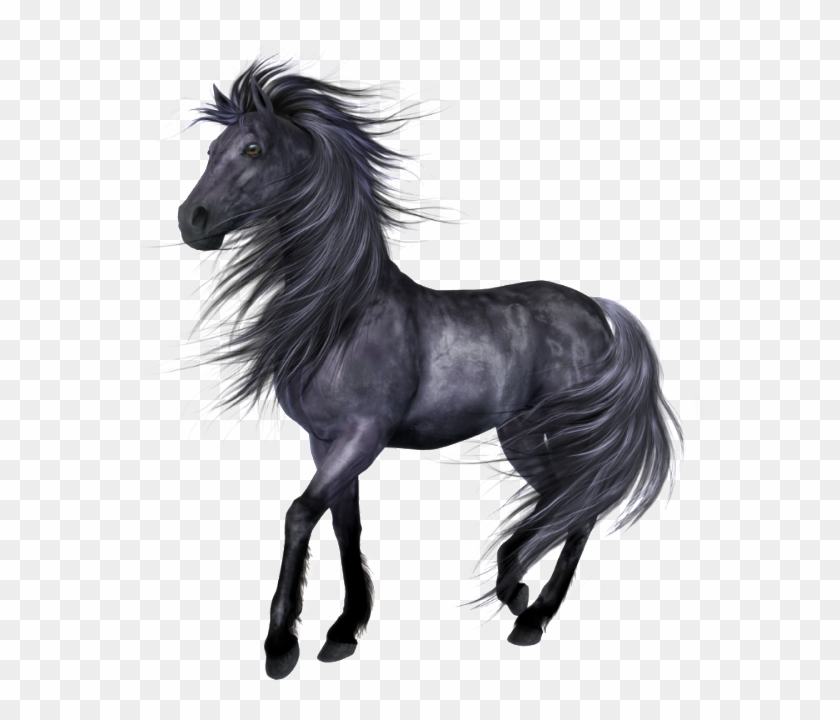 comment by geoffrey47gold on august 30 horse bookmarks