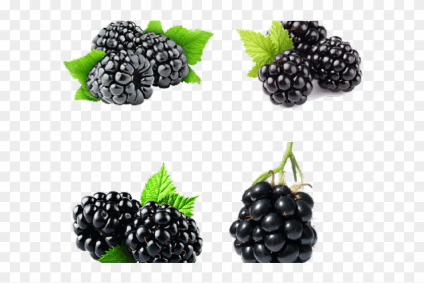 Blackberry Fruit Png Transparent Images - Blackberry Fizz Sticks Arbonne Clipart #5313336