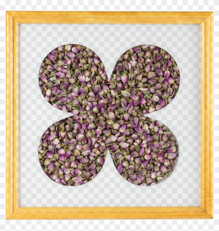 Picture Of Rosebud Tray - Picture Frame Clipart