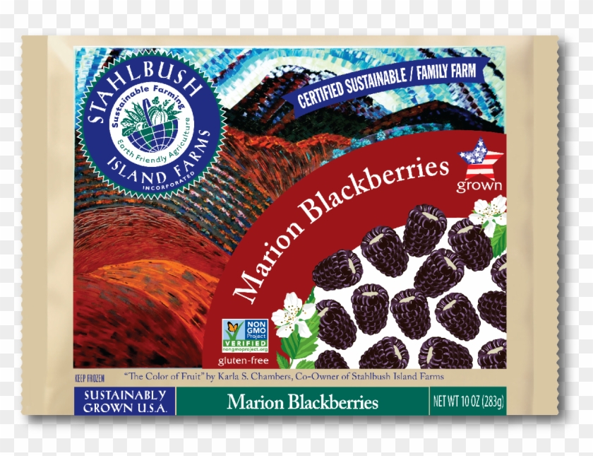 A Truly Oregon Berry, Marion Blackberries Or Marionberries - Stahlbush Island Farms Clipart #5313725