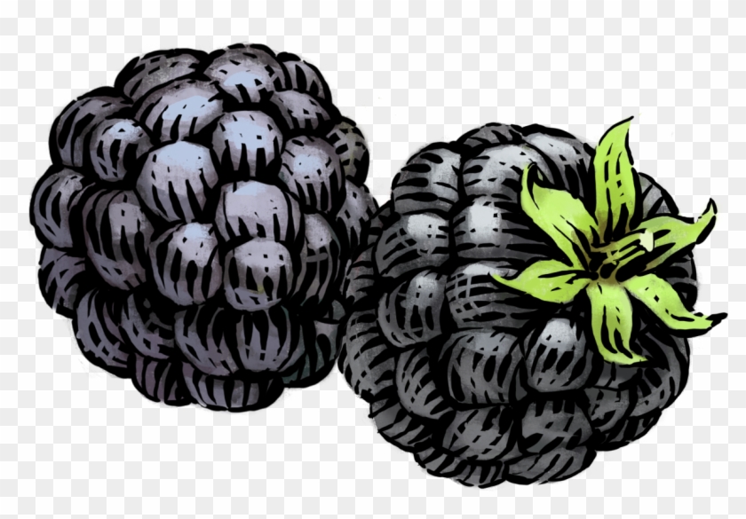 Image - Siggis 2% Clipart