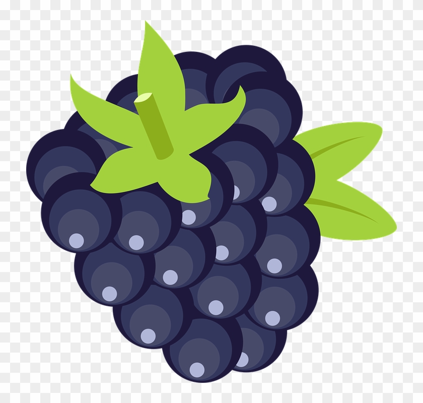 Blackberry Clipart Blue Fruit - Seedless Fruit - Png Download #5314323