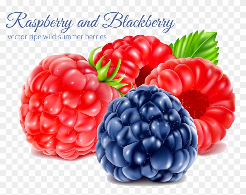 Png Royalty Free Download Juice Blackberry Transprent - Raspberry Clipart