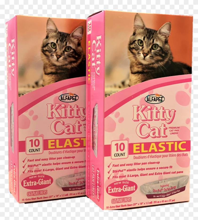 Kitty Cat Png Clipart