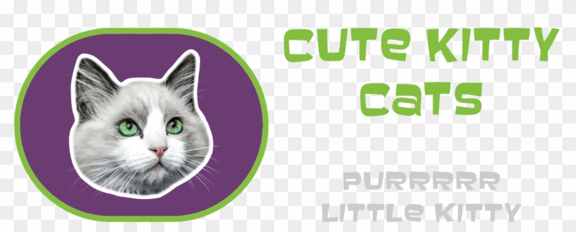 Cute Kitty Cats - Domestic Short-haired Cat Clipart #5314799