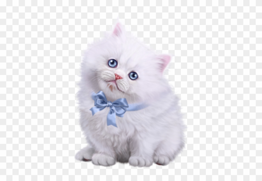 #kitty #kitten #cat #cute #white #ribbon #blue #ftestickers - Kitten Clipart #5315611