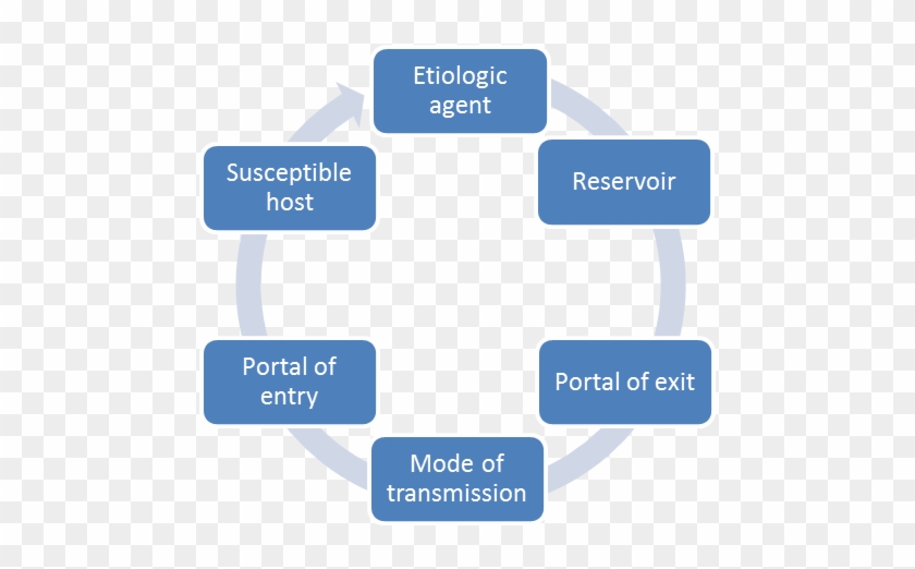 Chain Of Infection Transmission - Chain Of Infection Png Clipart