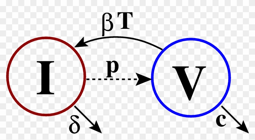 Linear Compartmental Model Of Viral Dynamics Clipart #5316946
