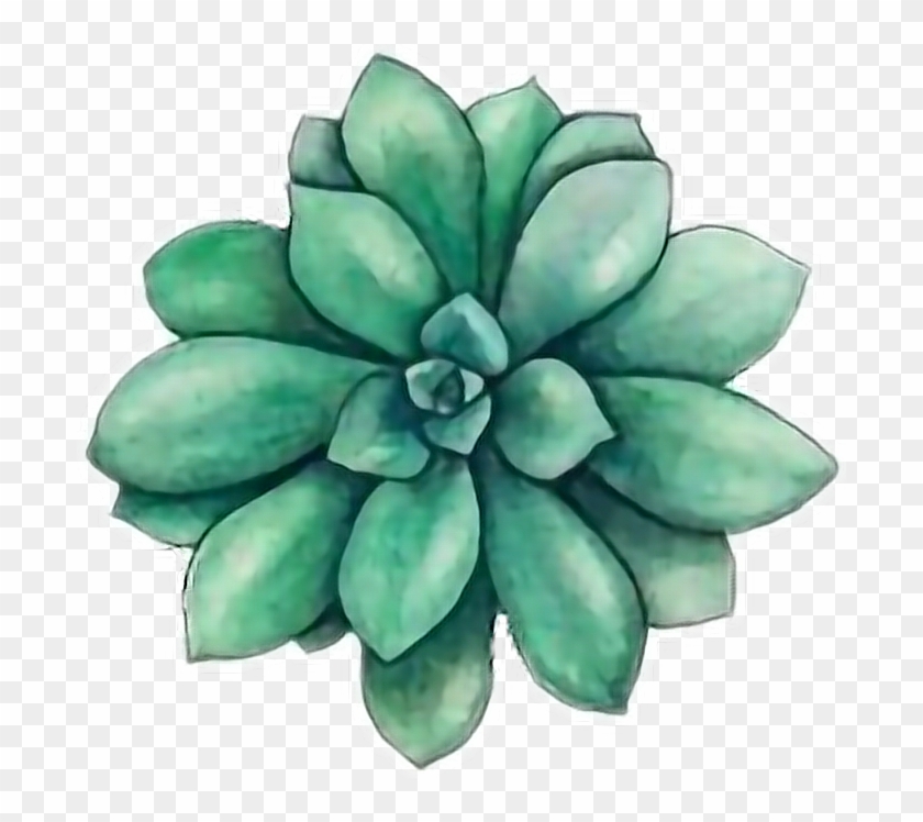 Cactus Png Tumblr - Succulents Drawing Clipart #5317407