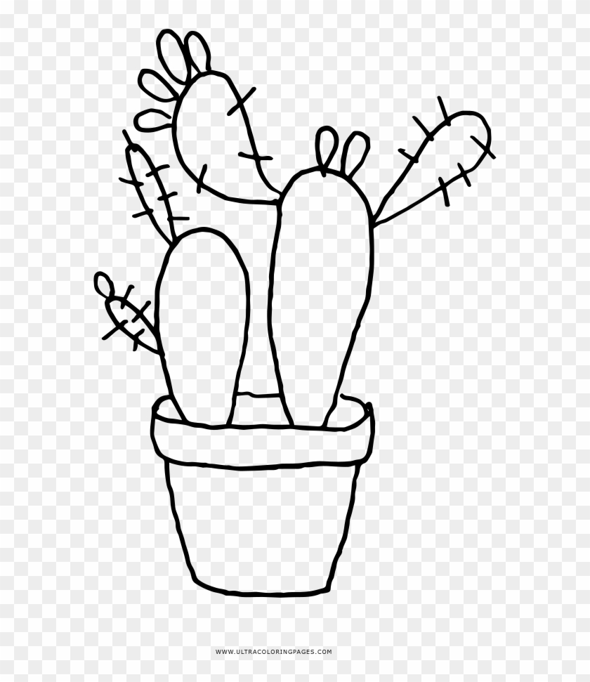 Cactaceae Coloring Book - Houseplant Clipart