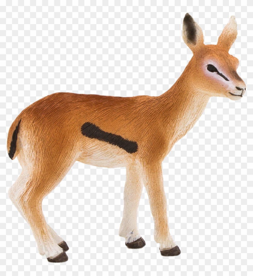 Gazelle Transparent Background Clipart