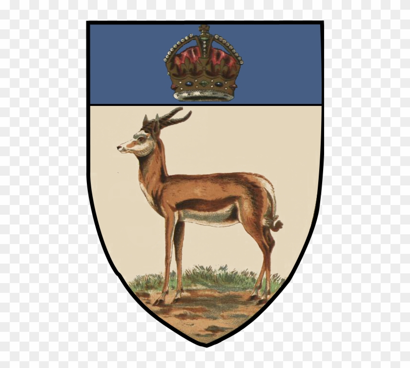 File - Orangerivercolonyarms - Colonial Coat Of Arms Clipart