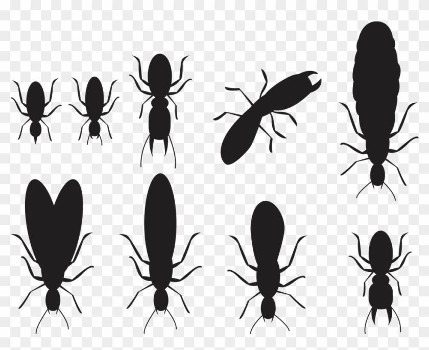 Termite Treatment By Jiminey Kricket Exterminating - Longhorn Beetle Clipart #5320209