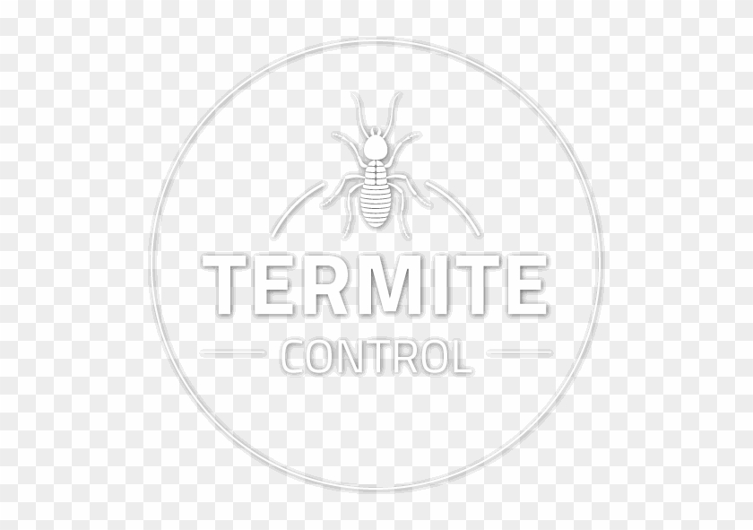 Termite Inspection - Spider Clipart #5320315