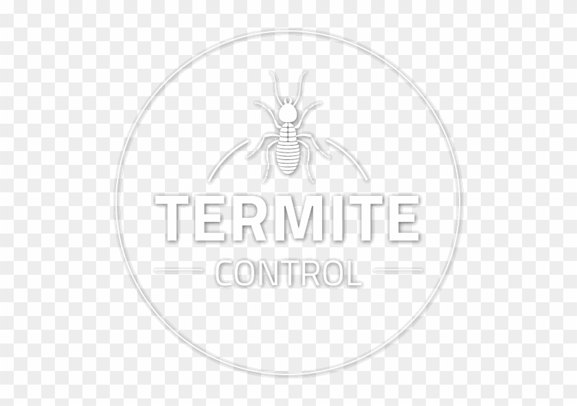 Termite Inspection - Spider Clipart