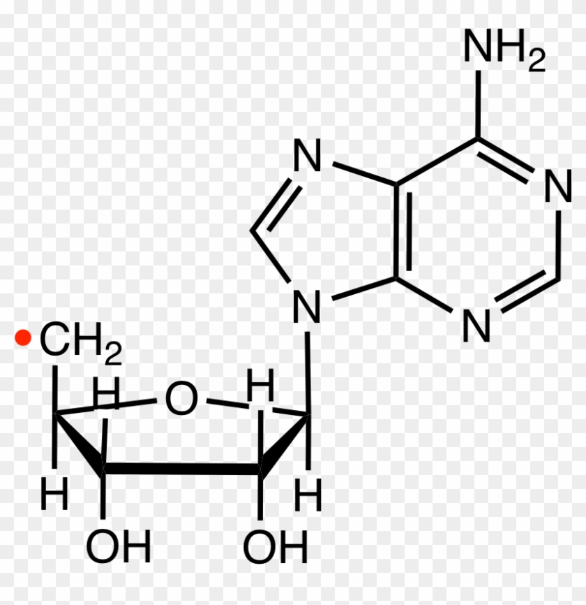 File - Adenosylradrvd - Deoxyadenosine Structure Clipart #5320345