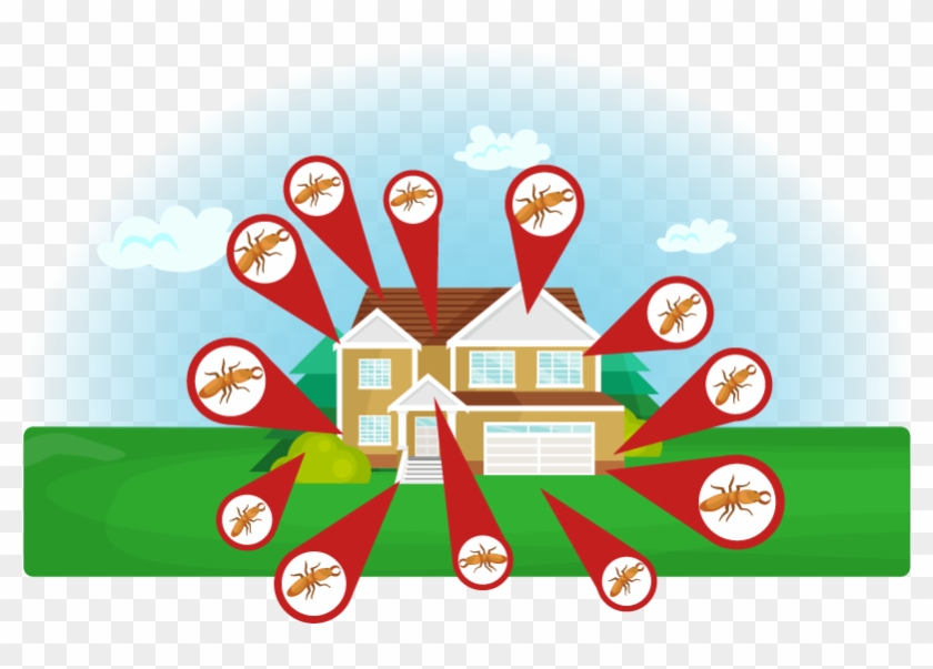 Terite Infestation Areas - Illustration Clipart