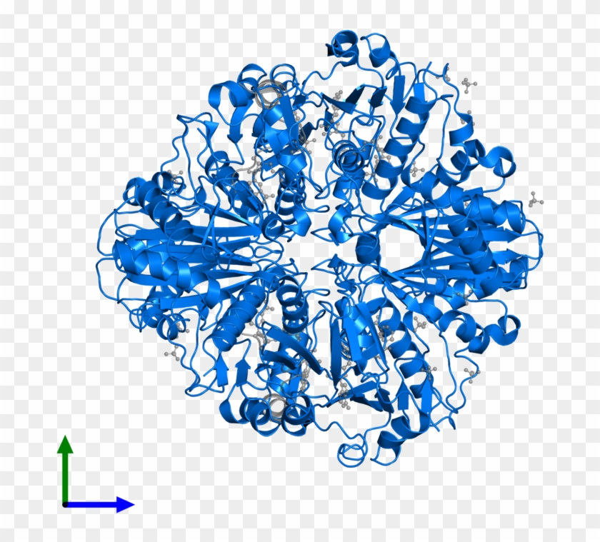 <div Class='caption-body'>pdb Entry 3rvd Contains 4 - Graphic Design Clipart #5320917