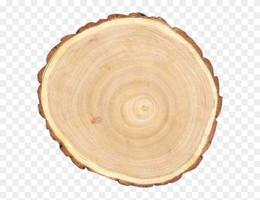 Round Paulownia Wood Slice - Wood Slice Png Clipart #5321023