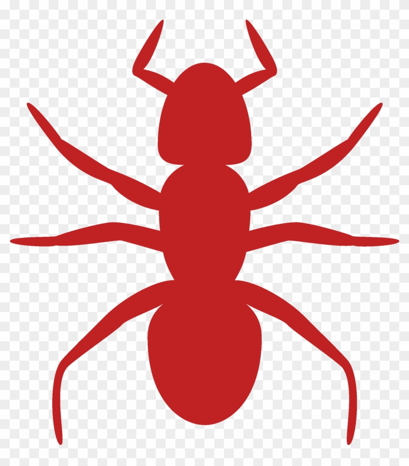 Termite - Ant Clip Art - Png Download #5321228