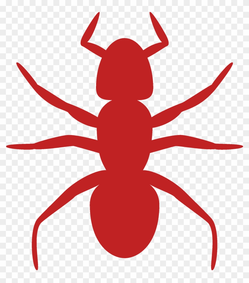 Termite - Ant Clip Art - Png Download