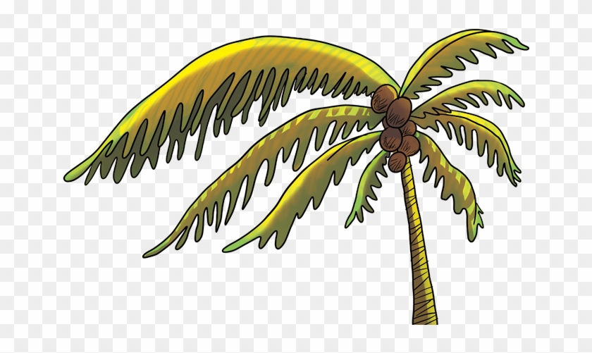Coqueiro - Attalea Speciosa Clipart #5321551