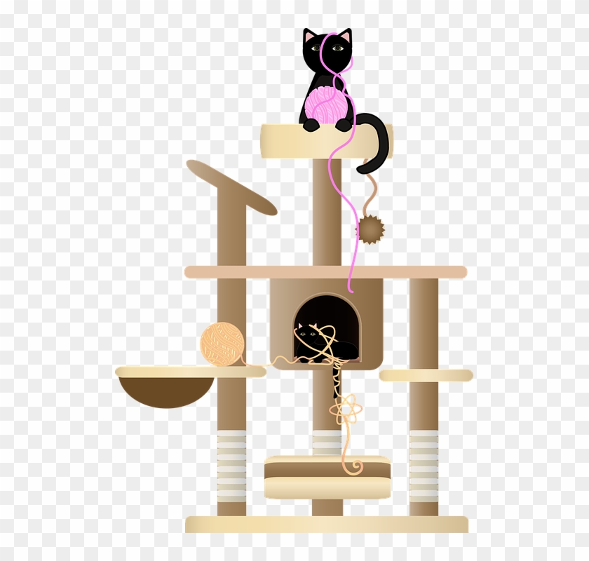 Grafische, Katten, Garen, Het Spelen Van Katten - Shelf Clipart #5321685