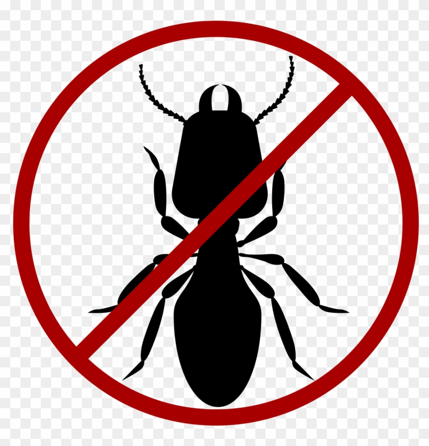 Termite Icon - Black No Symbol Transparent Clipart