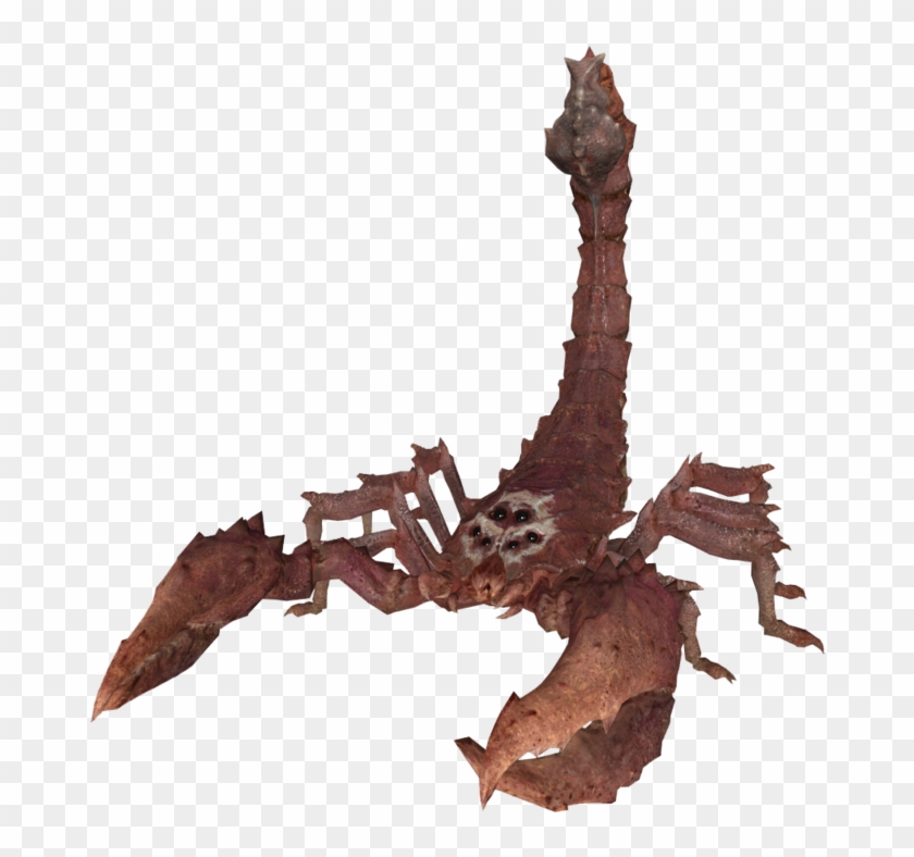 Deathskull Radscorpion - Radscorpion Png Clipart