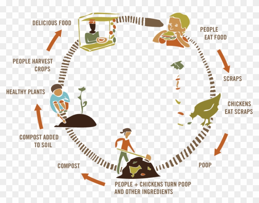 How Compost Works Graphic - Compost Cycle Clipart #5323078