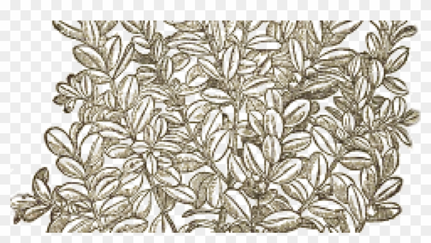 Box Illustration - Drawing Clipart #5323194