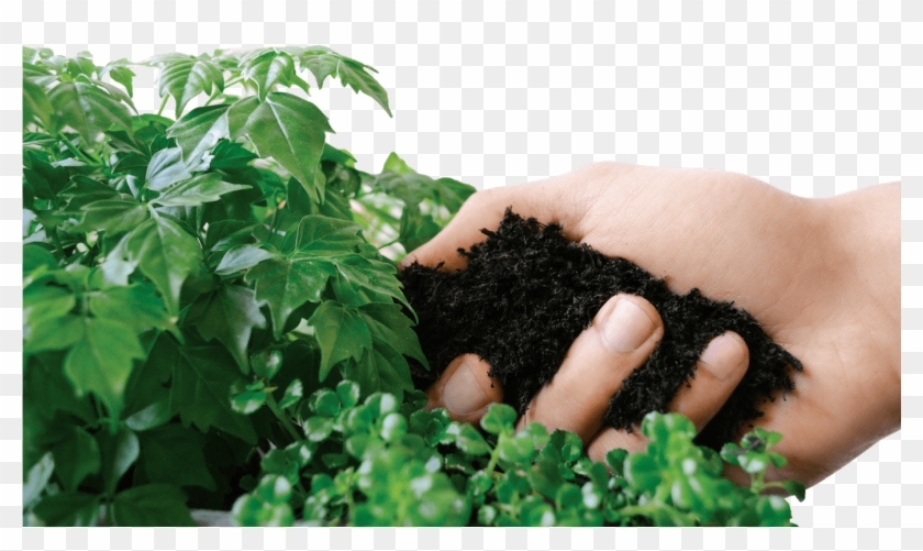 Hop Compost - Hand Clipart