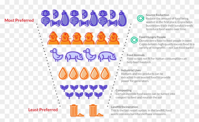 Copia August Landing Page Hierarchy-11 Clipart #5323517