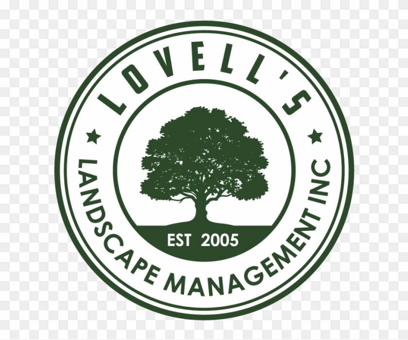 Boxwood Treatment Program - Baseball Boston Clipart