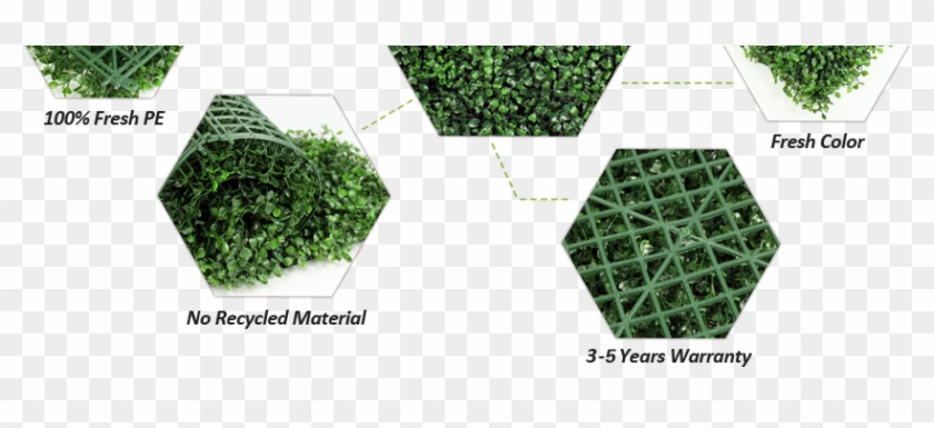 Sunwing Artificial Boxwood Hedges' Features - Floor Clipart