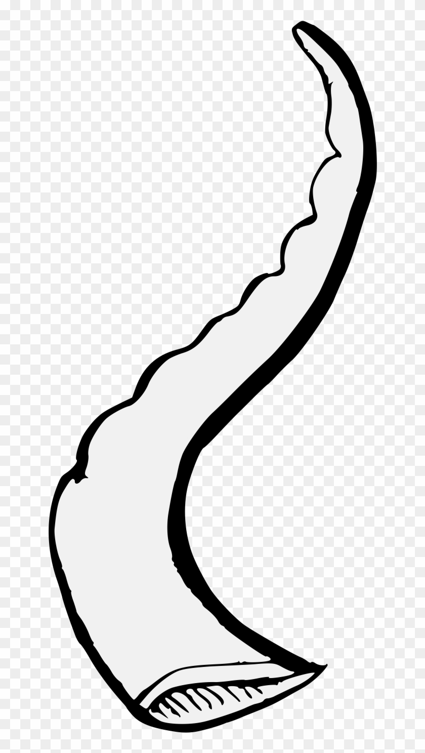 Details, Png - Line Art Clipart #5323729