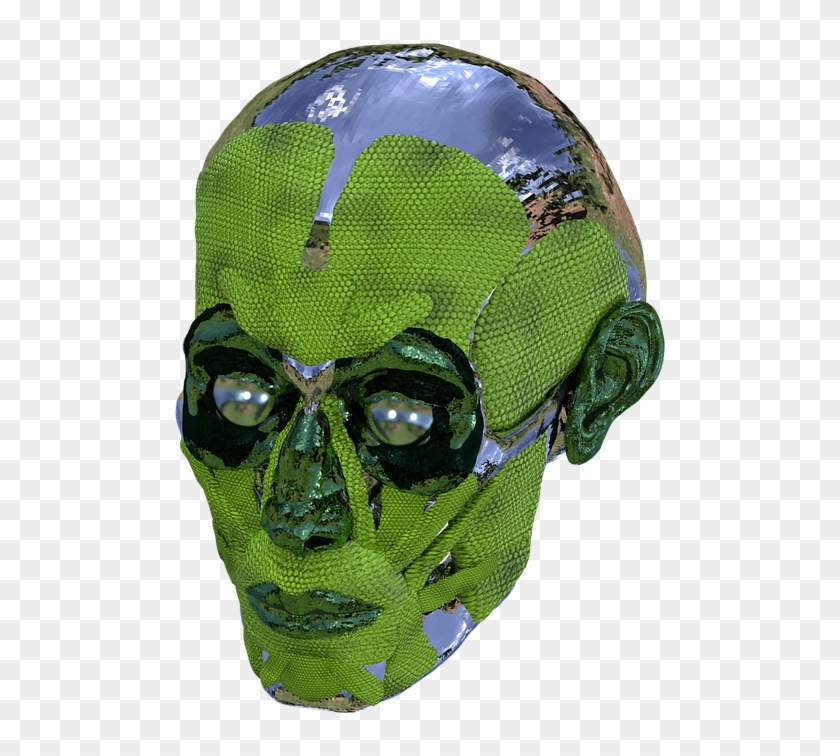 Crânio, Anatomia, Caveira, Humano, Cabeça, Face - Face Mask Clipart #5324054