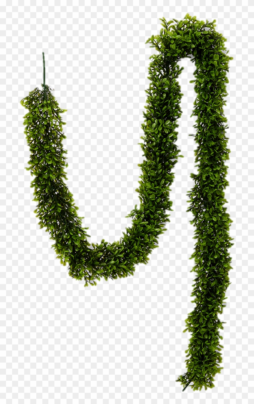 Artificial Green Boxwood Garland 5 ½ Ft L Clipart #5324146