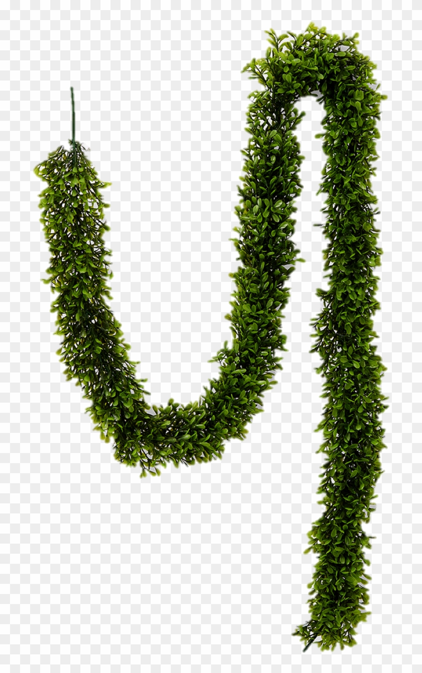 Artificial Green Boxwood Garland 5 ½ Ft L Clipart