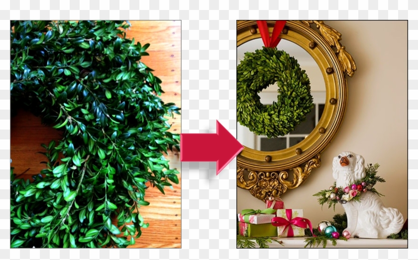 They Were Selling Live Boxwood Wreaths At The Christmas - Artificial Flower Clipart
