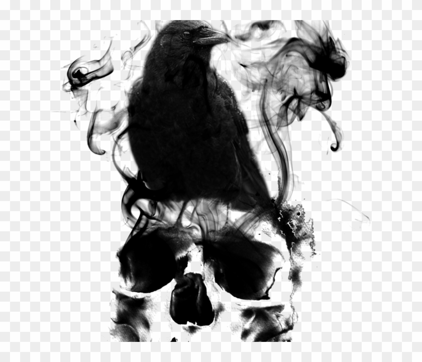 Camiseta Caveira E Corvo - Corvo Caveira Clipart