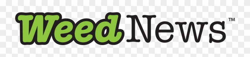 Norman Reedus Png Clipart