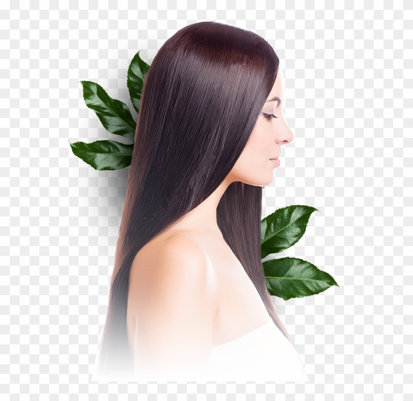 Urtica Dioica Leaf Powder, Wheat Aminiacids, Silk Amino - Lace Wig Clipart #5325741
