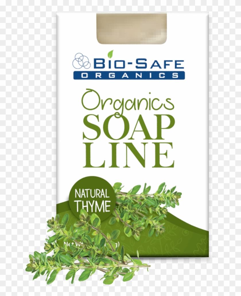 Natural Thyme - Holly Clipart