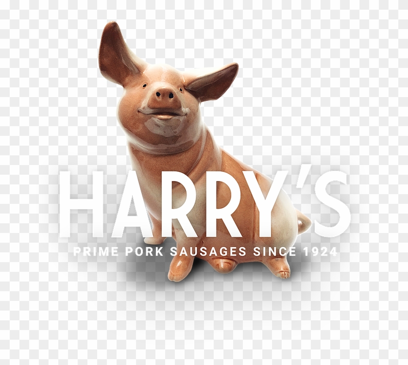 Harrys-pig - Domestic Pig Clipart #5326579