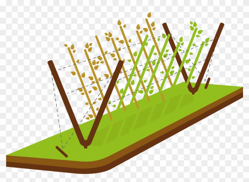 Simply Drive Two Stakes Into The Ground At An Angle - Graphic Design Clipart